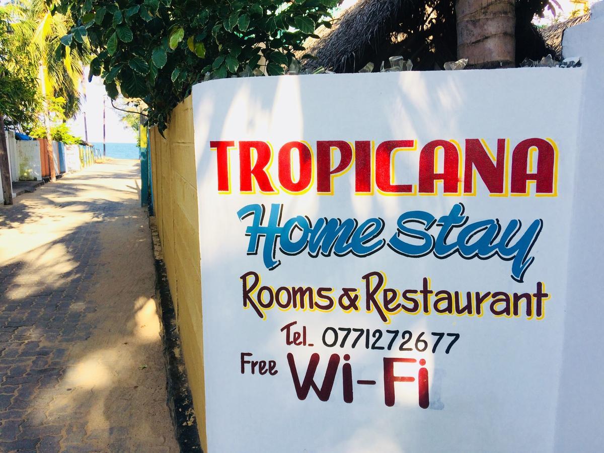 Tropicana Home Stay Arugam Bay Exterior photo